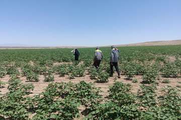 photo28500911417