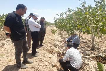IMG_20260715_091733_846