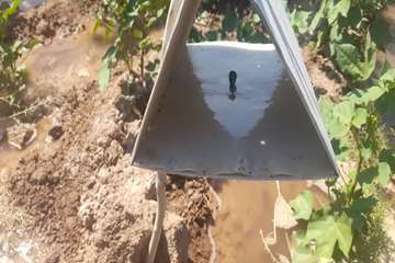 photo28599848879