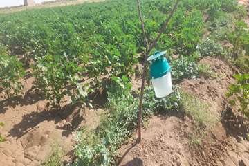 photo28599851229