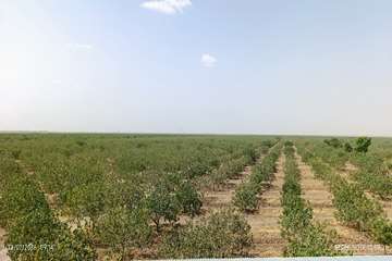 IMG_20260722_091434