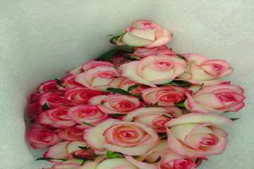 IMG_20260726_174736_166