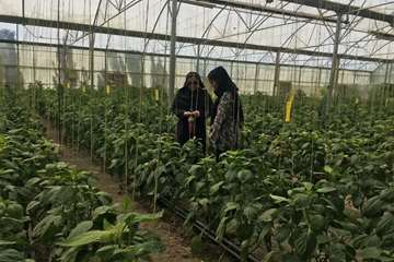 IMG_20260726_182514_127