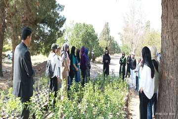 IMG_20260610_114034_621