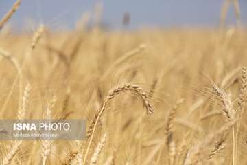 IMG_20260614_232747_569