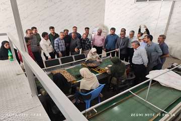 IMG_20260915_120808