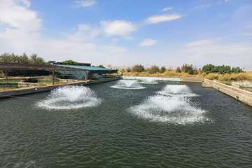 IMG_20260924_214904_868