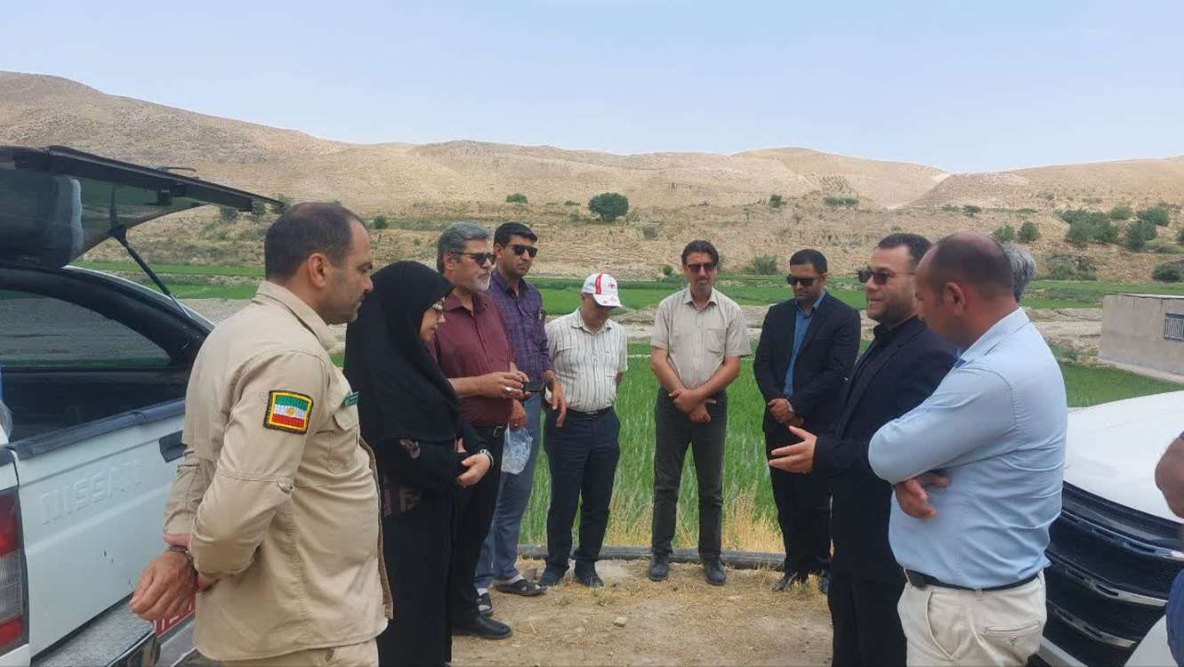 گردشگری 