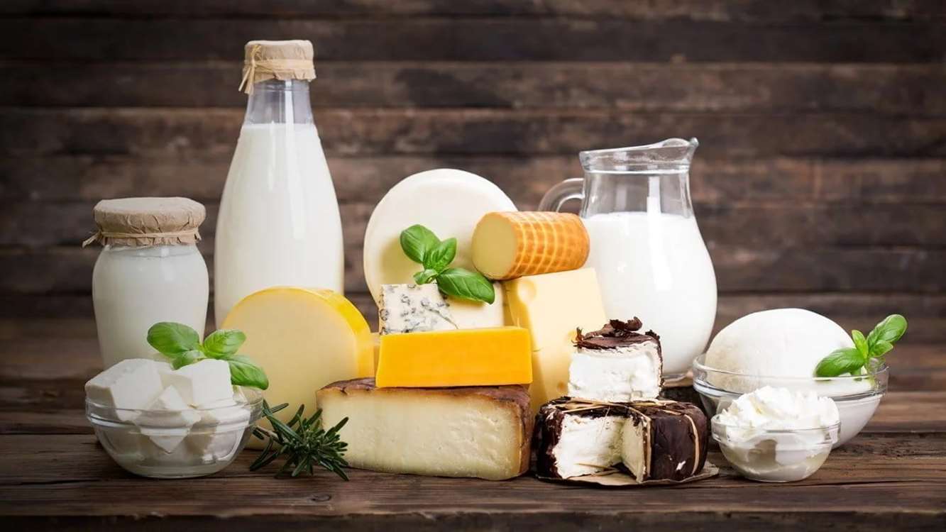 milk-dairy.jpg 