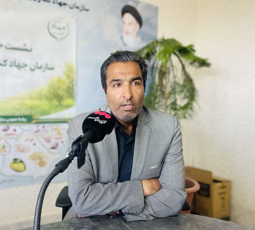 عرفانی 