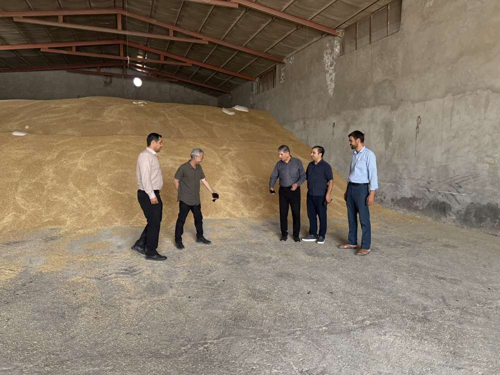 تعاونی 
