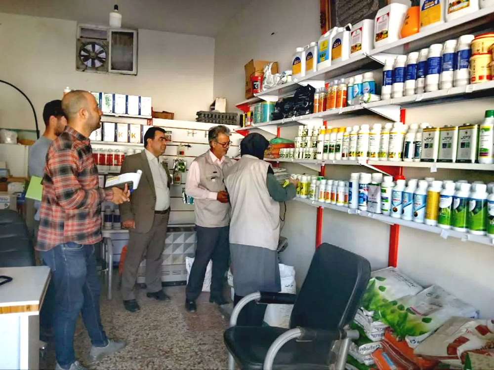 مانور 