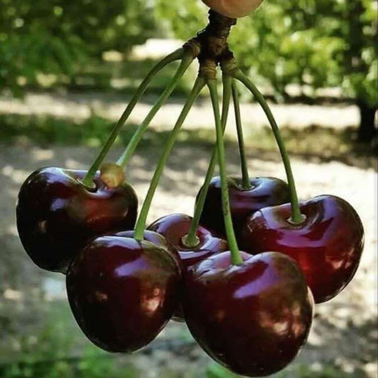 19 