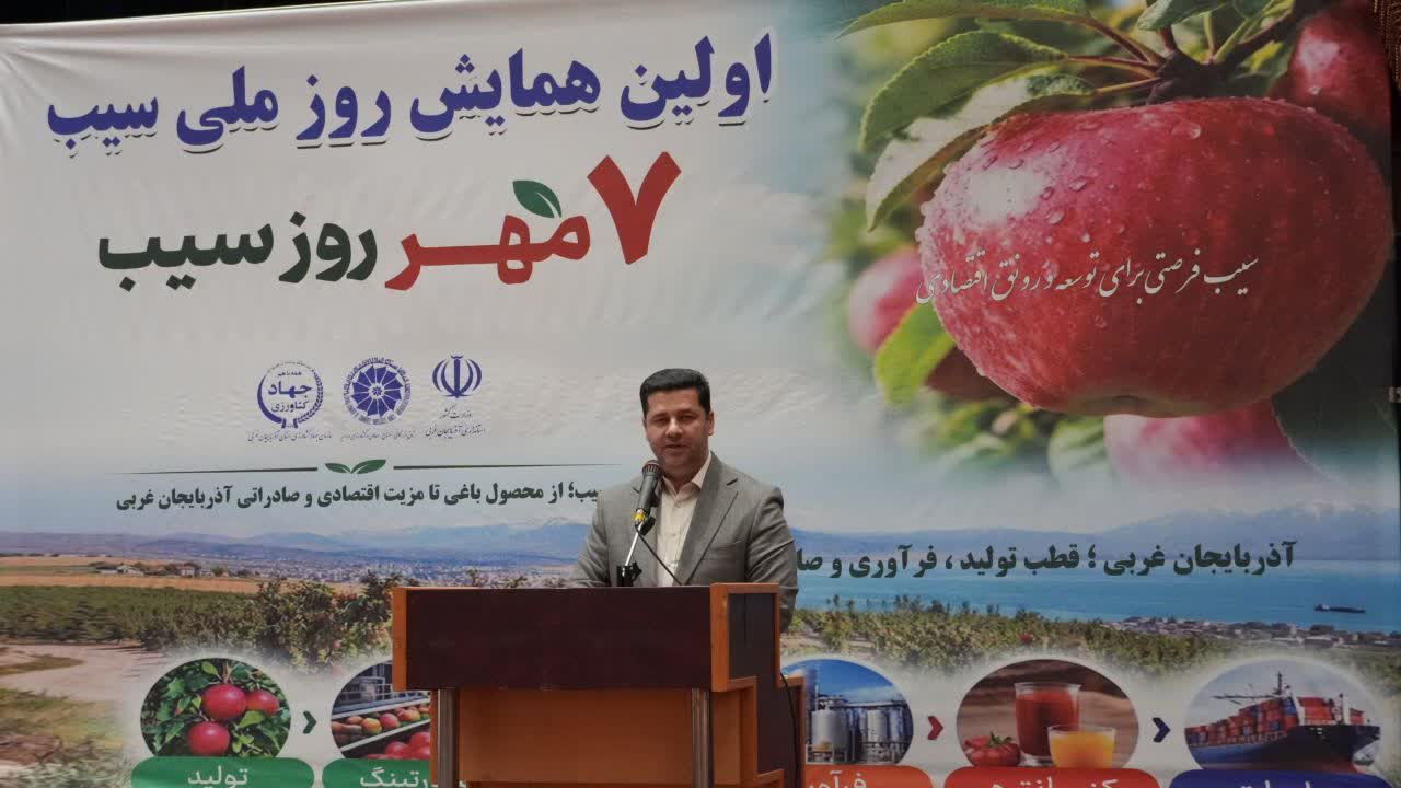 تنوع‌بخشی به بازارهای صادراتی سیب درختی در دستور کار است/ پیش‌بینی تولید ۴.۲ میلیون تن محصول در کشور