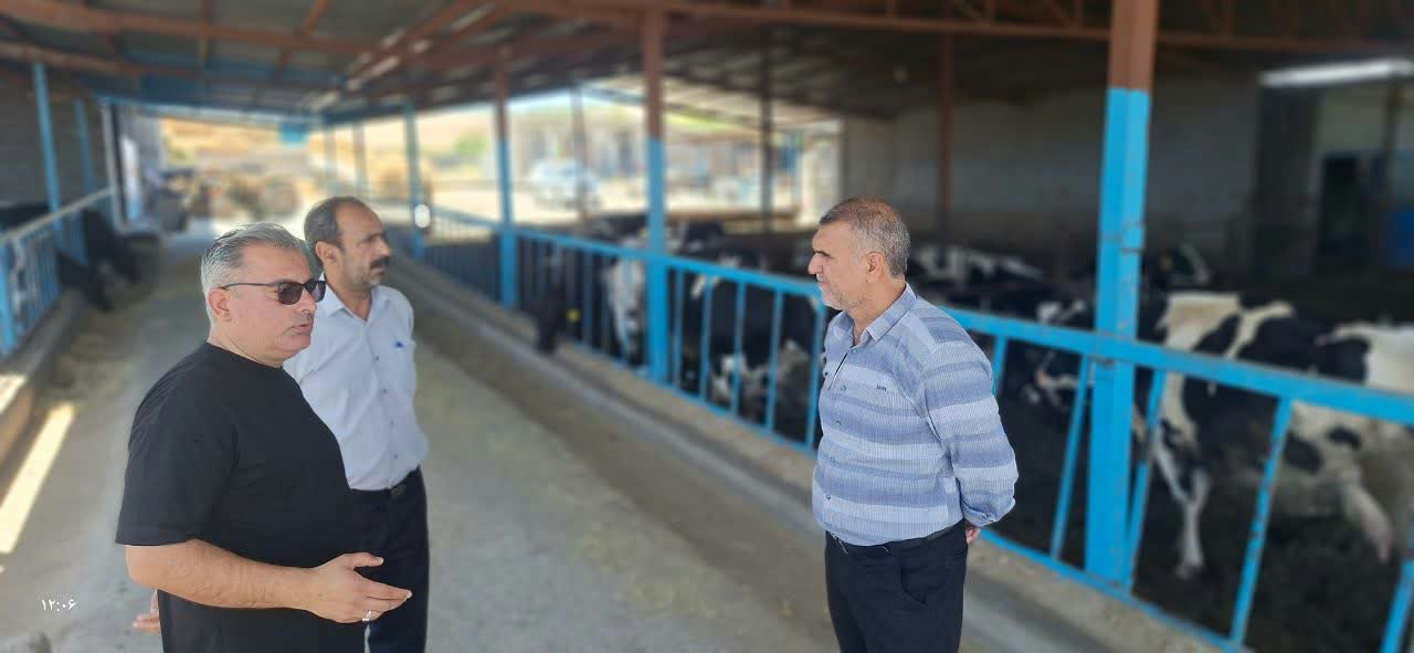 مدیر و معاونین جهاد کشاورزی گلبهار از واحدهای تولیدی شهرستان گلبهار بازدید کردند.