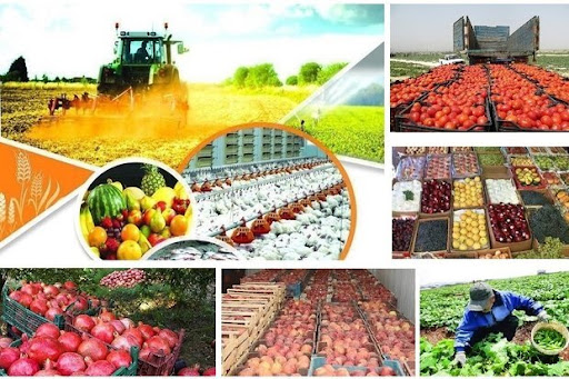 سیمای کشاورزی استان 