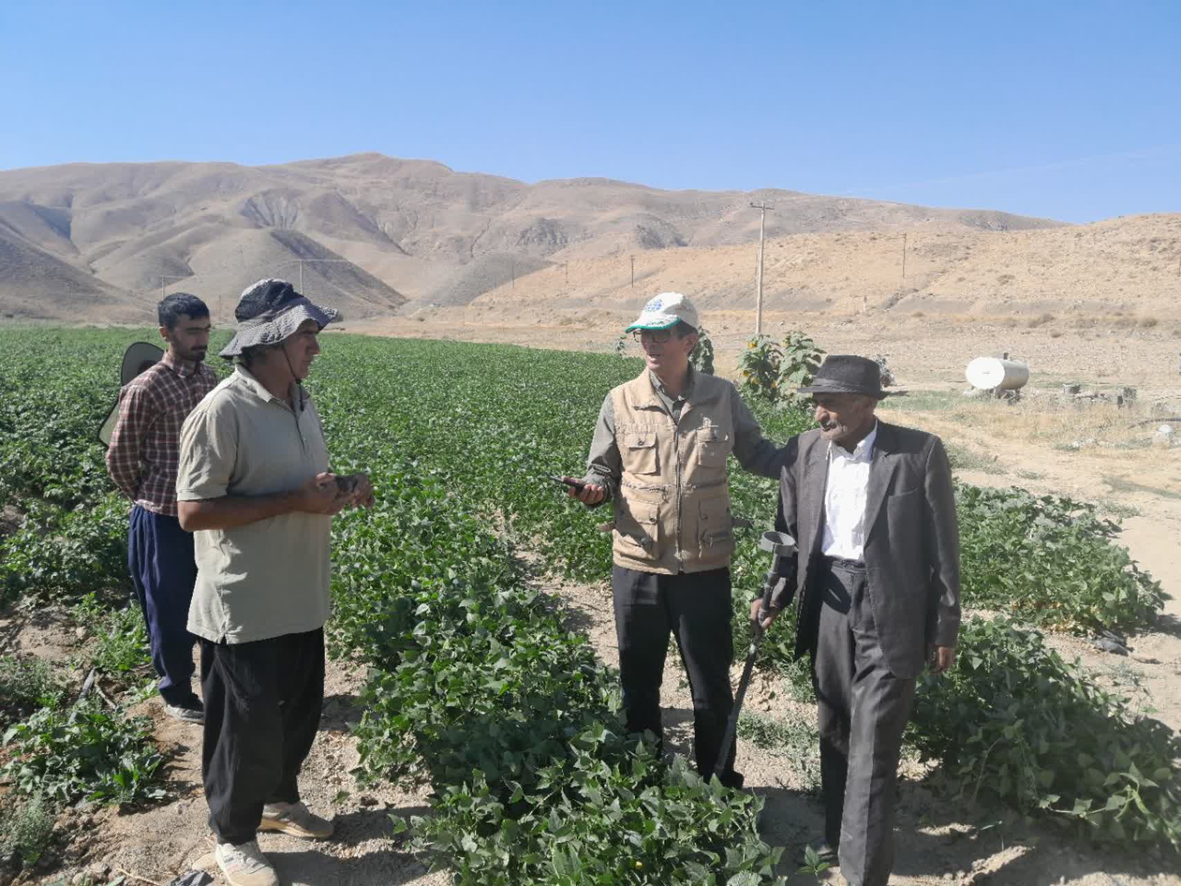 پایش مزارع شاخص دهستان بینالود نیشابور و آغاز کشت مکانیزه کلزا در منطقه ماروسک