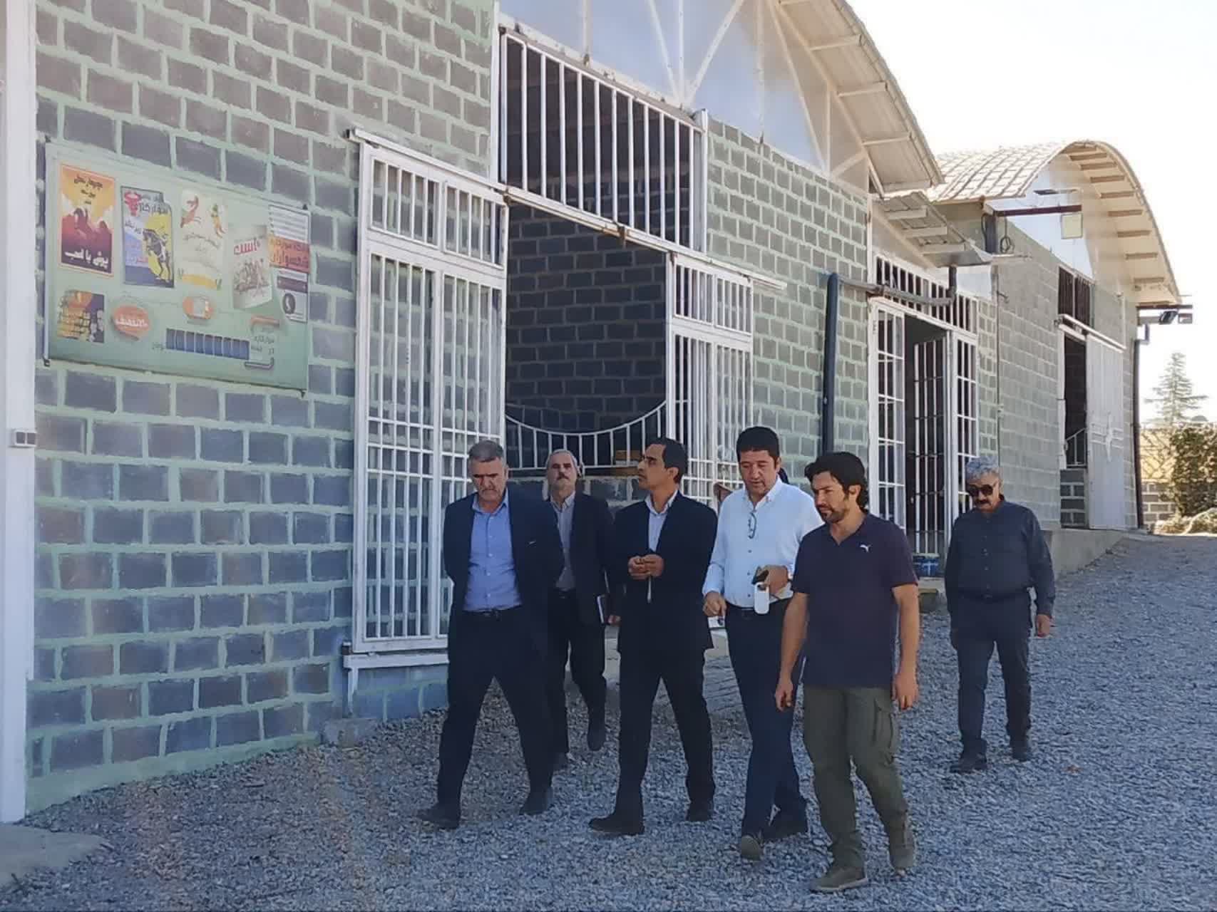 بازدید از مرکز پرورش و نگهداری اسب در شهرستان گلبهار و انجام میکرو چیپ اسبها