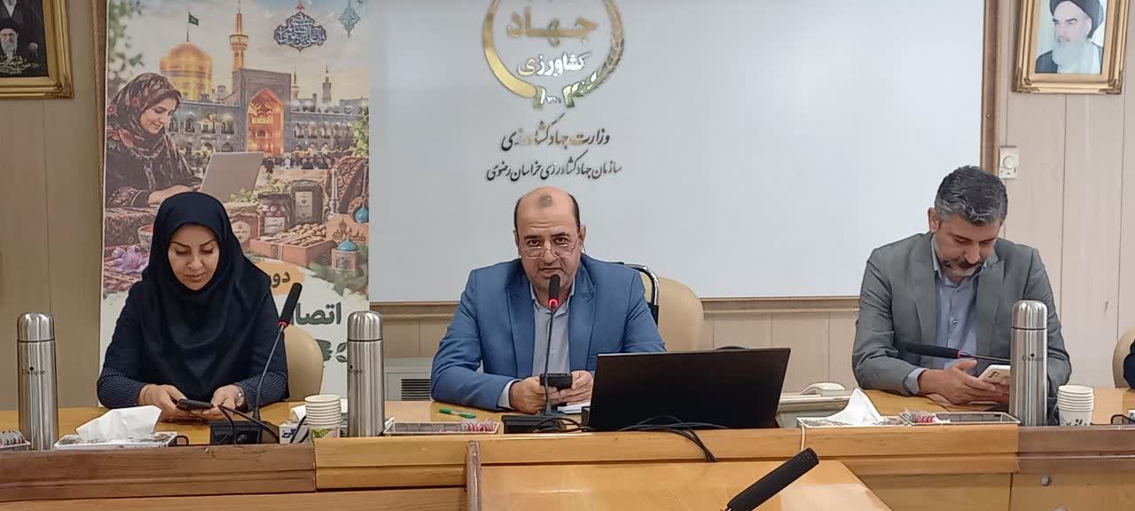 تأکید مشاور و مدیر حوزه ریاست سازمان جهاد کشاورزی خراسان رضوی بر نقش بازاریابی دیجیتال در افزایش درآمد تولیدکنندگان